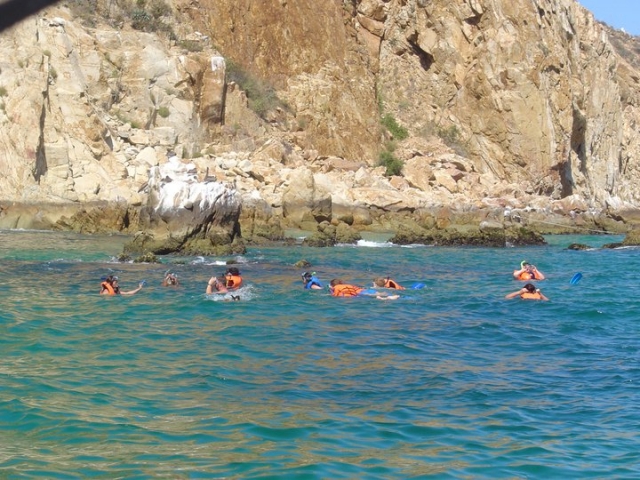  Avventura di snorkeling 